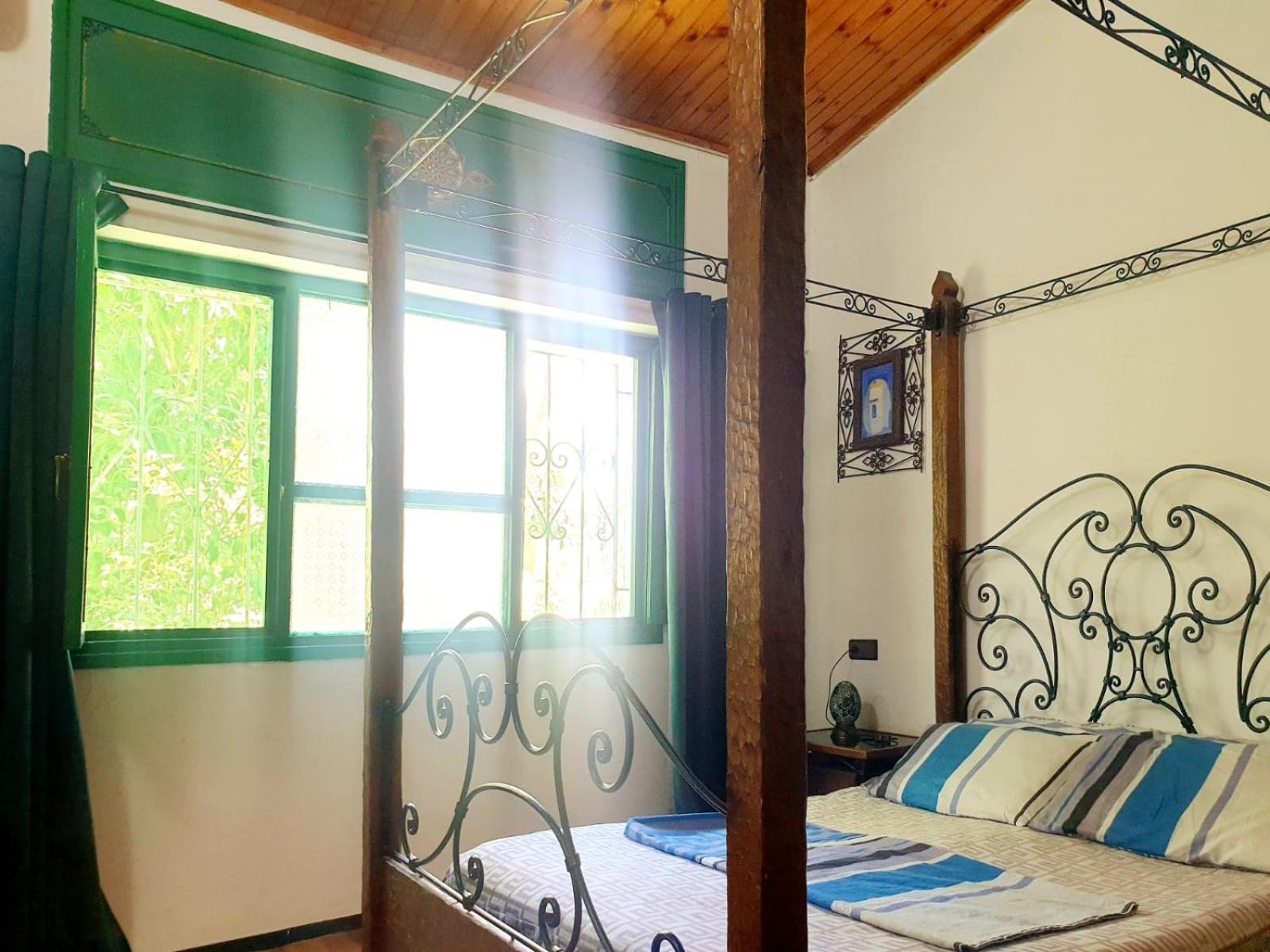 צ'פצ'אוונה Dar Casa Plasa Grande מראה חיצוני תמונה